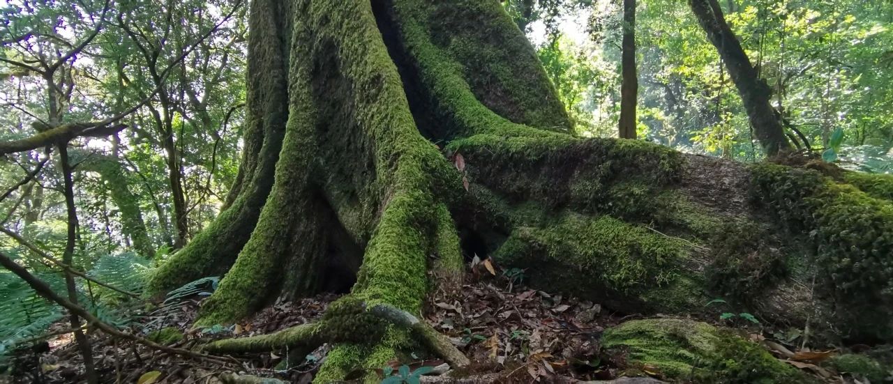 微信圖片_20250210113042.jpg 微信圖片_20250210113042.jpg