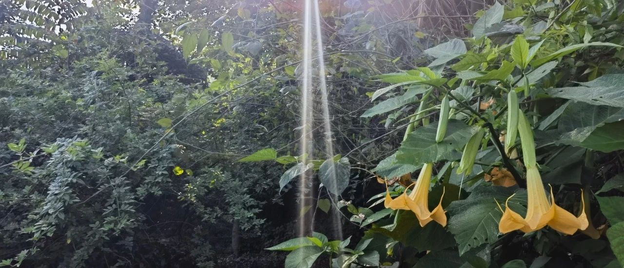 微信圖片_20250210113056.jpg 微信圖片_20250210113056.jpg