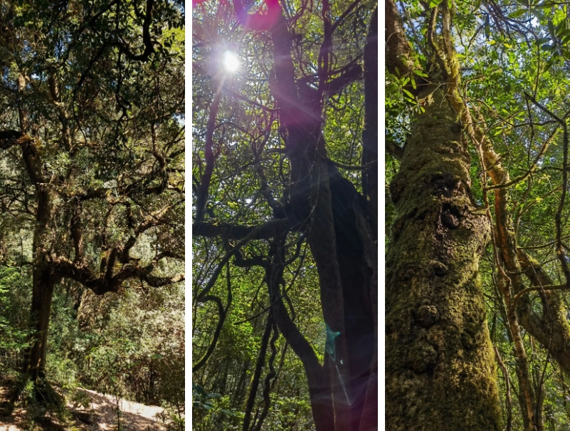 微信截圖_20250210113347.png 微信截圖_20250210113347.png